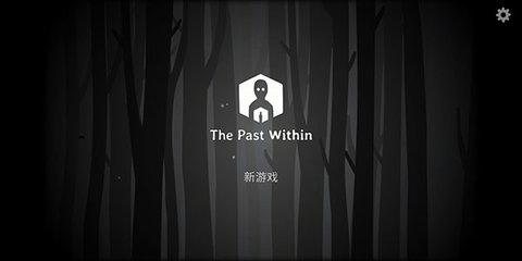 The Past Within双人汉化版