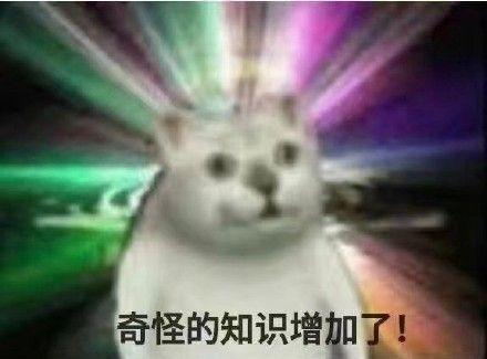 三只猫咪点头表情包完整版大全分享