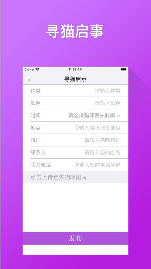 寻找猫咪之路APP手机软件