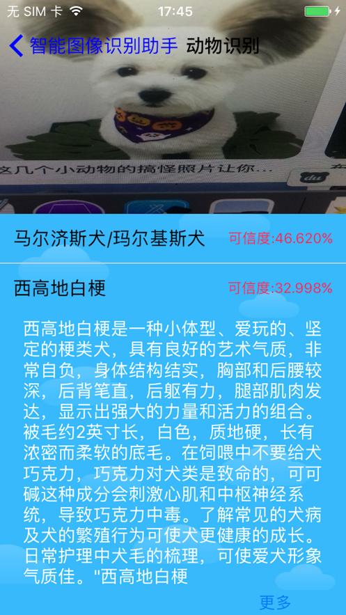 智能图像识别助手app官方版