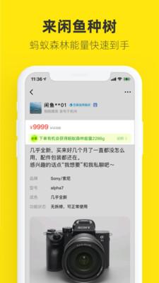 闲鱼二手市场旧货市场下载app官方版