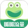 呱呱流量监测APP最新版