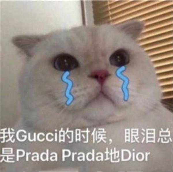 抖音Prada的眼泪PradaPrada地掉表情包图片合集下载