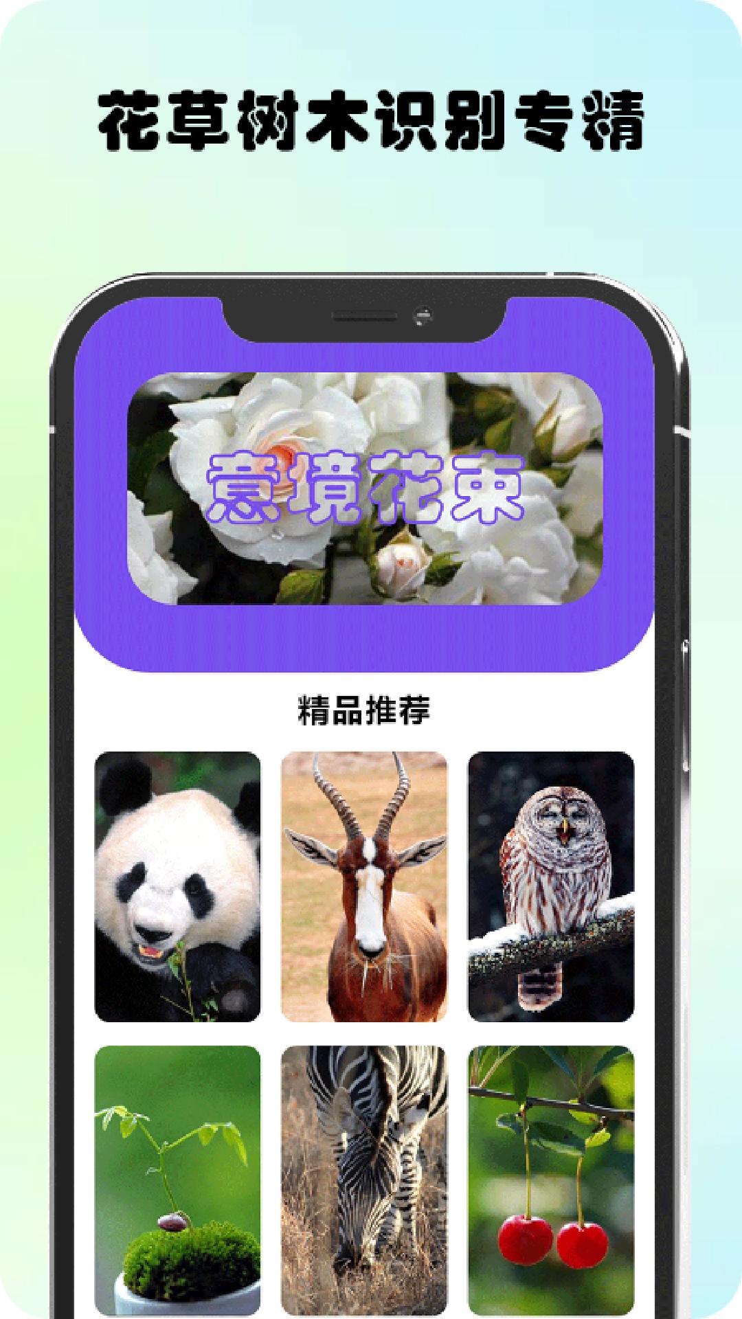 万物识图高手APP最新版