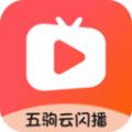 五驹云闪播软件最新版