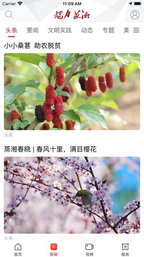 魅力蒸湘APP手机客户端