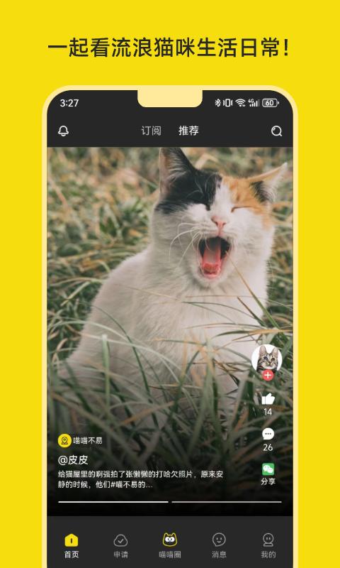 喵喵不易app官方安卓版