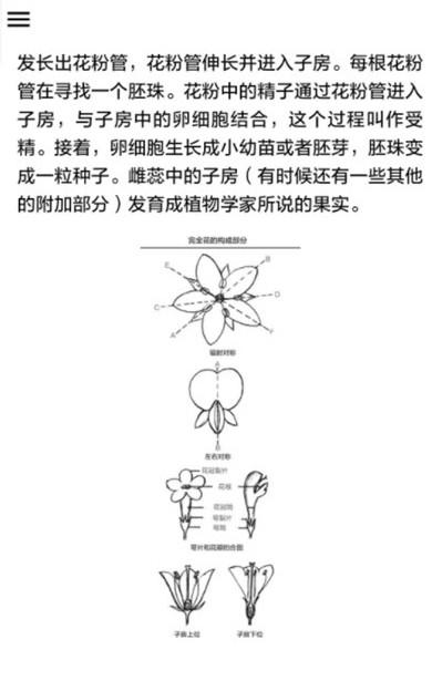 野外植物识别手册安卓版app