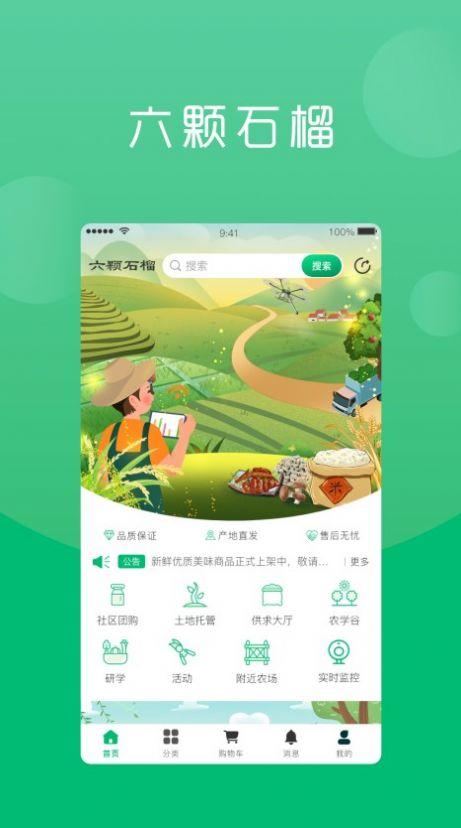 六棵石榴app最新版