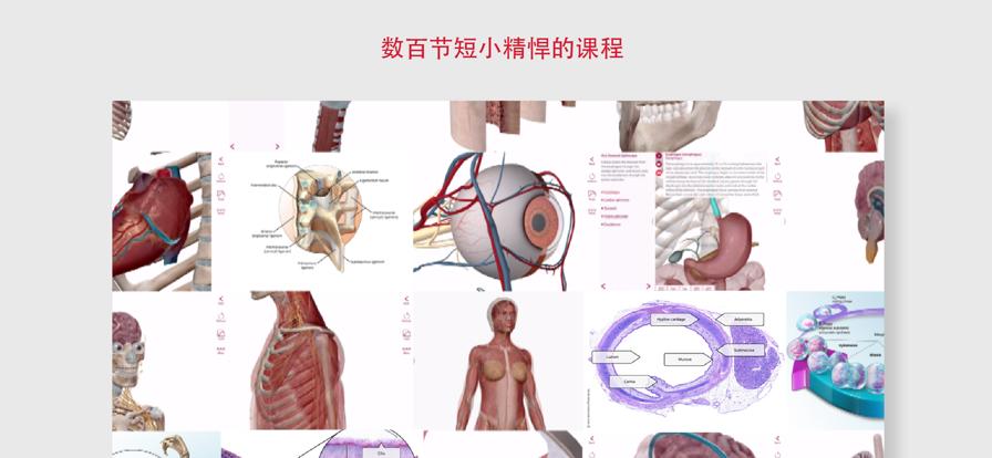 解剖和生理学App安卓2024最新版免费下载