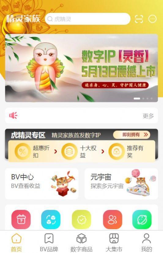 精灵家族数字藏品app官方版