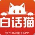 白话猫app官方客户端