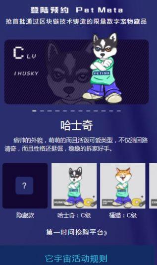 pet meta它宇宙宠物数字藏品APP官方版