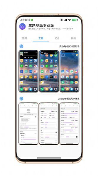 汇飞主题壁纸专业版app免费版