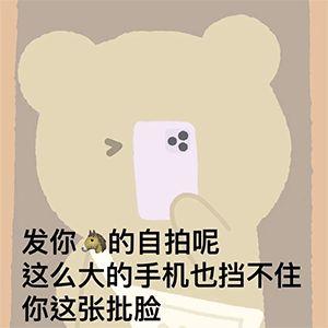 抖音暴躁小熊表情包图片完整版分享