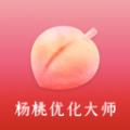 杨桃优化大师软件最新版