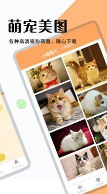 猫狗宠物翻译软件下载最新版