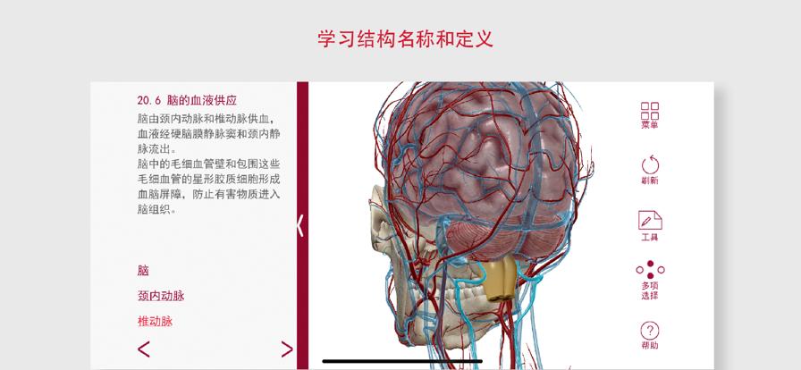 解剖和生理学App安卓2024最新版免费下载