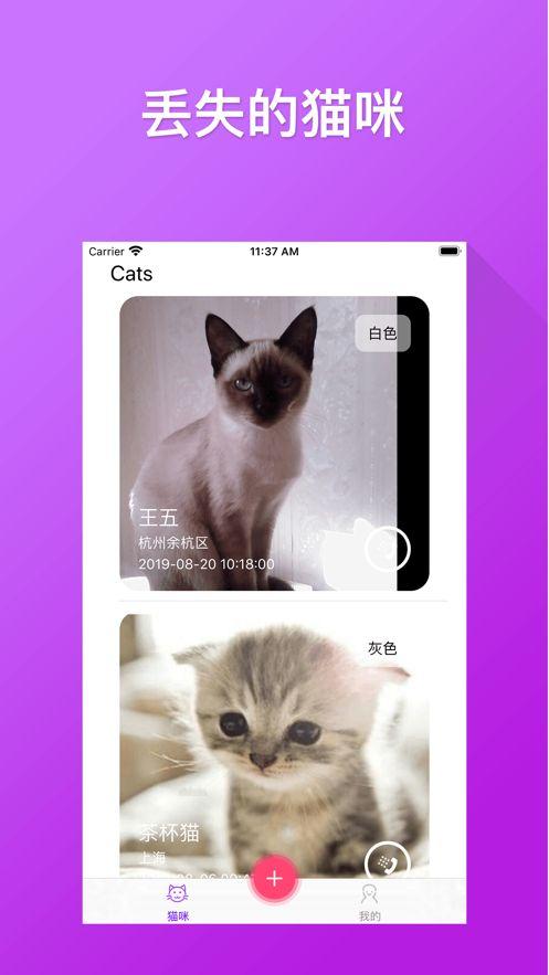 寻找猫咪之路APP手机软件