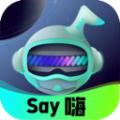 Say嗨元宇宙社交APP最新版