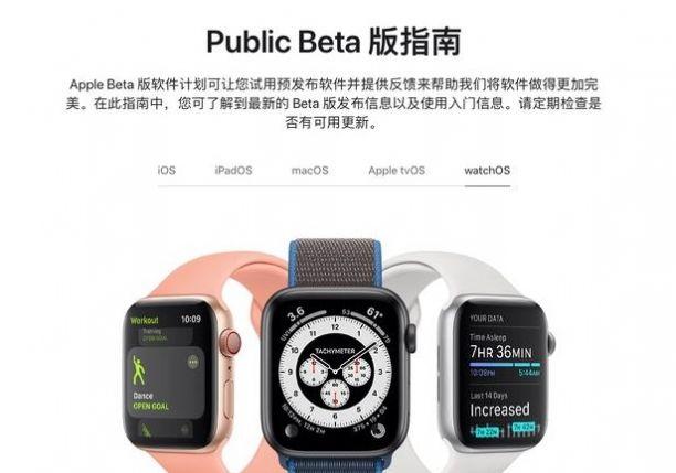 苹果watchOS 7.6（18U63）正式版更新文件下载