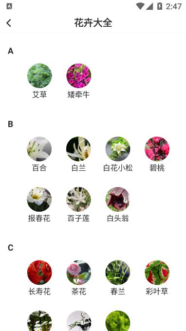 即有花APP客户端