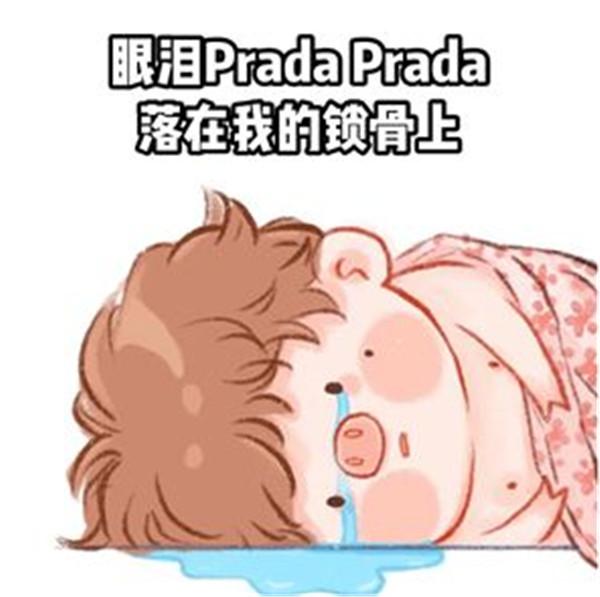 抖音Prada的眼泪PradaPrada地掉表情包图片合集下载