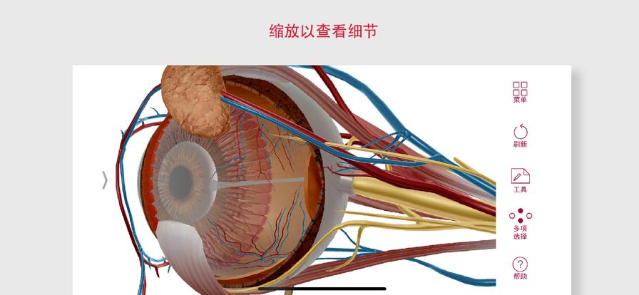 解剖和生理学App安卓2024最新版免费下载