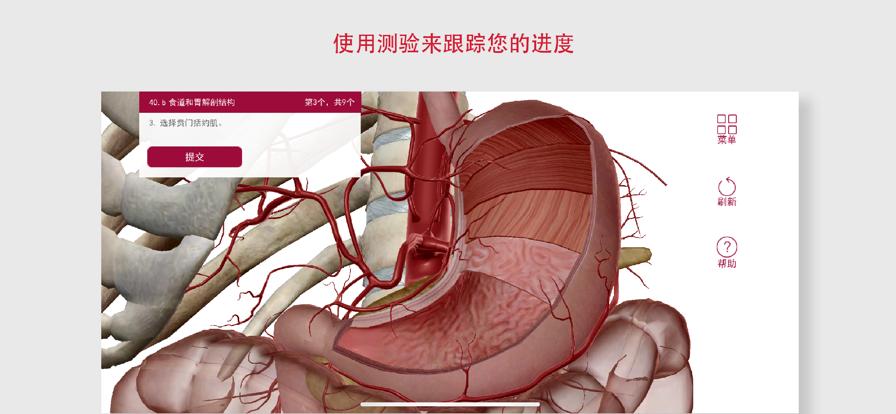 解剖和生理学App安卓2024最新版免费下载