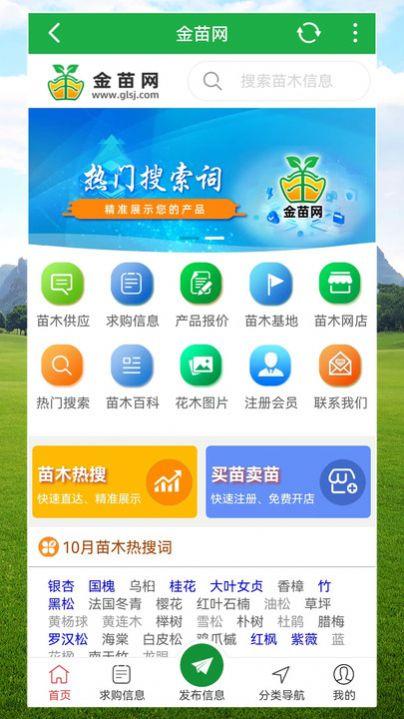 金苗网app官方版