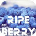 RipeBerry影视APP免费版