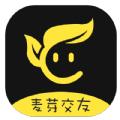 麦芽交友APP安卓版