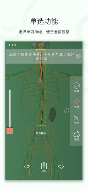 神经系统3D解析图APP手机版