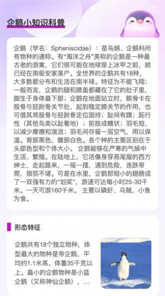 企鹅流量助手下载官方app