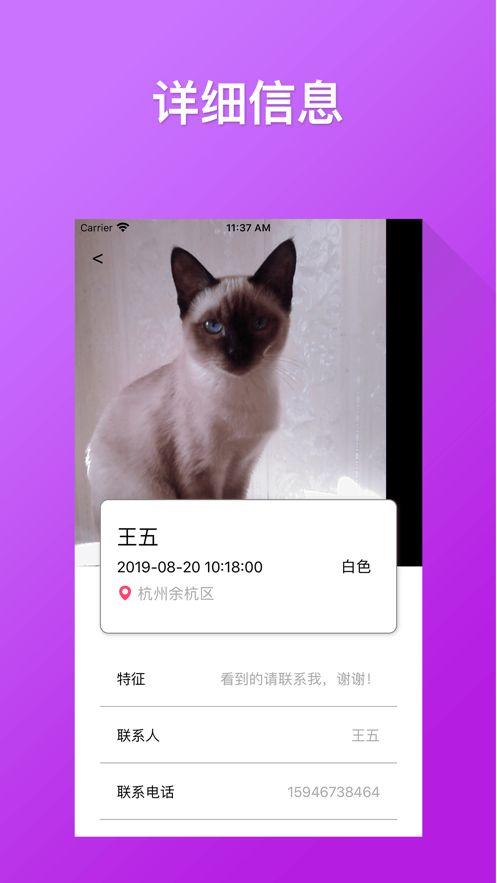 寻找猫咪之路APP手机软件