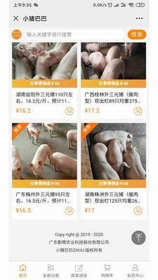 小猪巴巴APP客户端正版