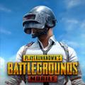 PUBG Mobile绝地求生国际服下载官方安卓版