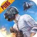 绝地求生pubg mobile官方(国际服)2024正版