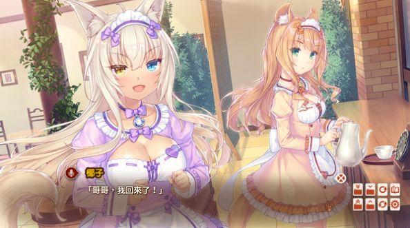 nekopara4krkr补丁手机版