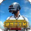 pubg mobile国际服下载2024年最新版