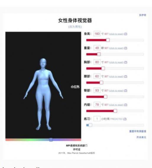 Female Body Visualizer官方中文版