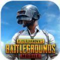 绝地求生pubg mobile(国际服)地铁逃生最新版2024