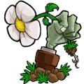 植物大战僵尸BE版触控版下载安装（PvZ BE）