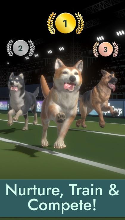 Top Dogs官方安卓版