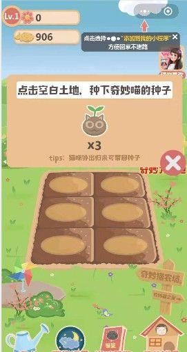 微信奇妙猫之家小程序APP下载