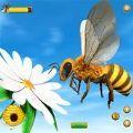 Honey Bee Bug Games游戏安卓版下载