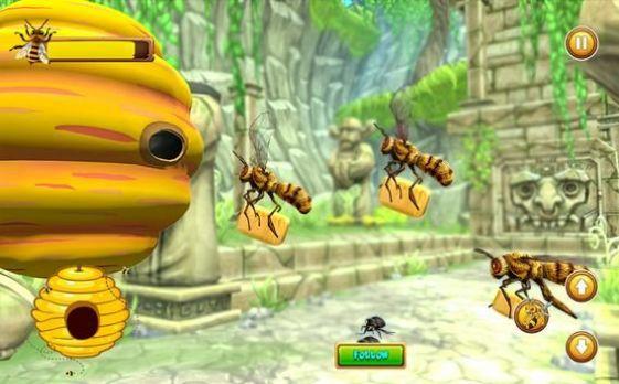 Honey Bee Bug Games游戏安卓版下载