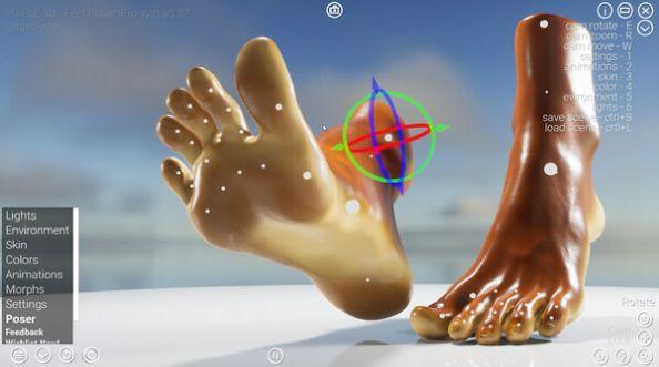 haele 3d feet poser lite游戏中文手机版