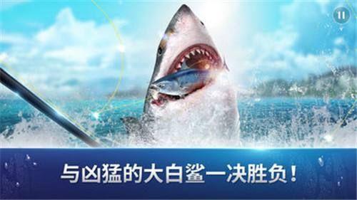 fishing strike手机游戏官方网站下载最新正版