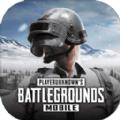 光子PUBG Mobile官方网站下载海外服中英文切换版